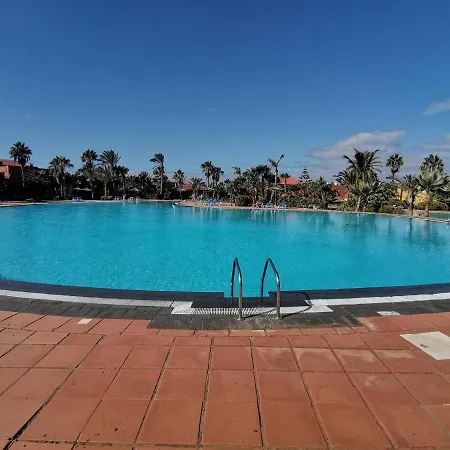 Spagnolo Oasis Tamarindo *