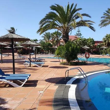 Spagnolo Oasis Tamarindo