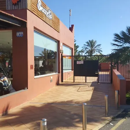 Spagnolo Oasis Tamarindo *