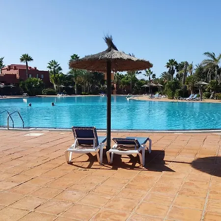 Spagnolo Oasis Tamarindo