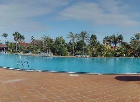 Spagnolo Oasis Tamarindo *