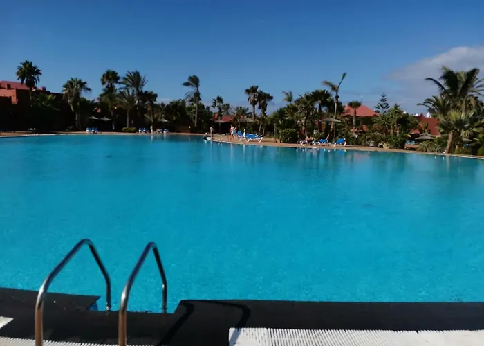 Spagnolo Oasis Tamarindo Corralejo