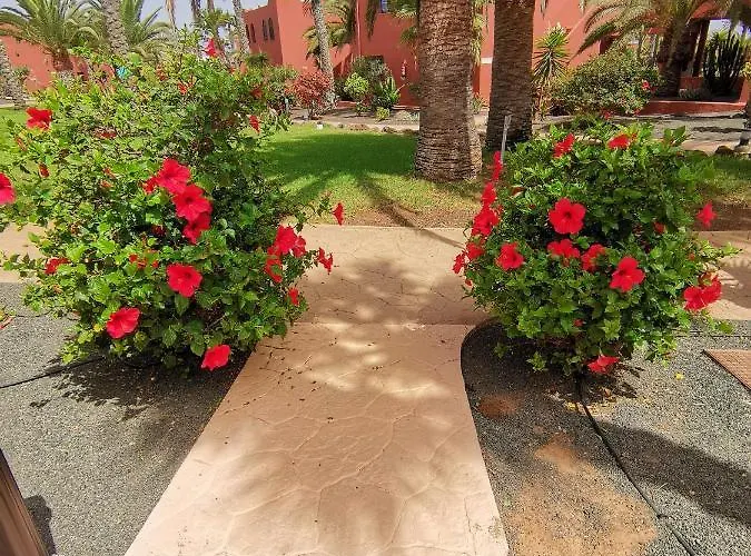 Spagnolo Oasis Tamarindo Apartmán *