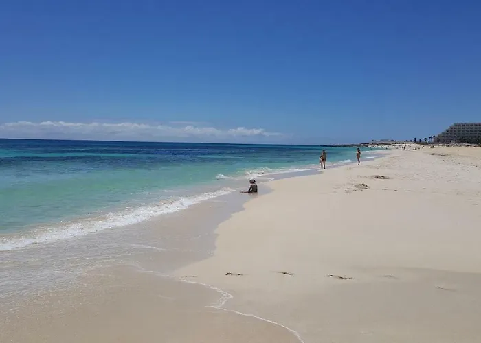 Spagnolo Oasis Tamarindo