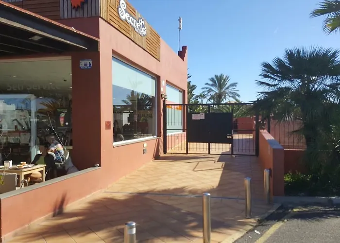 Spagnolo Oasis Tamarindo *