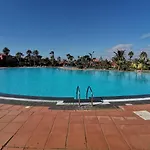 Spagnolo Oasis Tamarindo *
