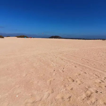 Spagnolo Oasis Tamarindo *