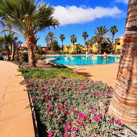 Spagnolo Oasis Tamarindo Corralejo