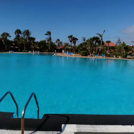 Spagnolo Oasis Tamarindo Corralejo