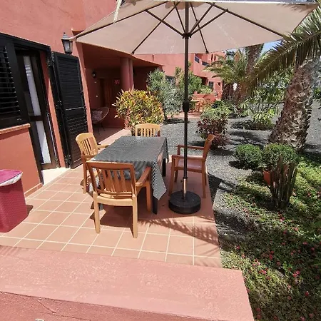 Spagnolo Oasis Tamarindo *