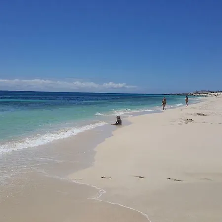 Spagnolo Oasis Tamarindo