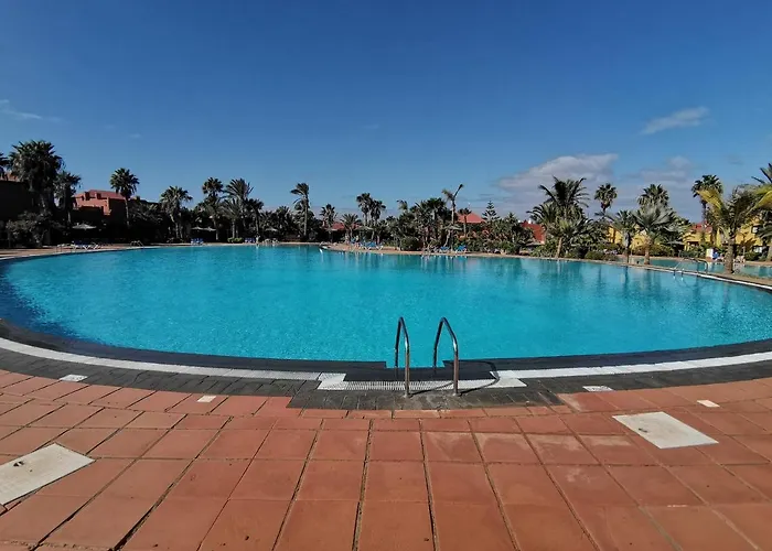 Spagnolo Oasis Tamarindo *