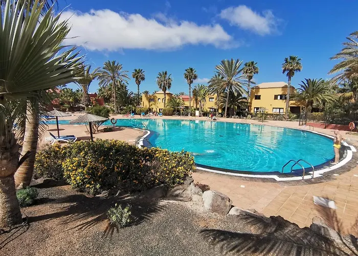 Spagnolo Oasis Tamarindo