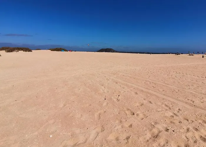 Spagnolo Oasis Tamarindo *