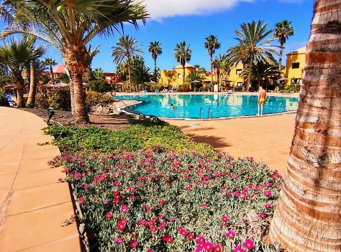 Spagnolo Oasis Tamarindo Corralejo