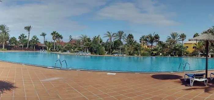 Spagnolo Oasis Tamarindo *